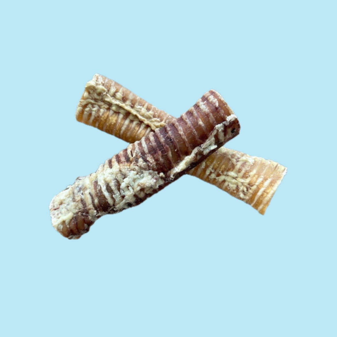30cm Beef Trachea