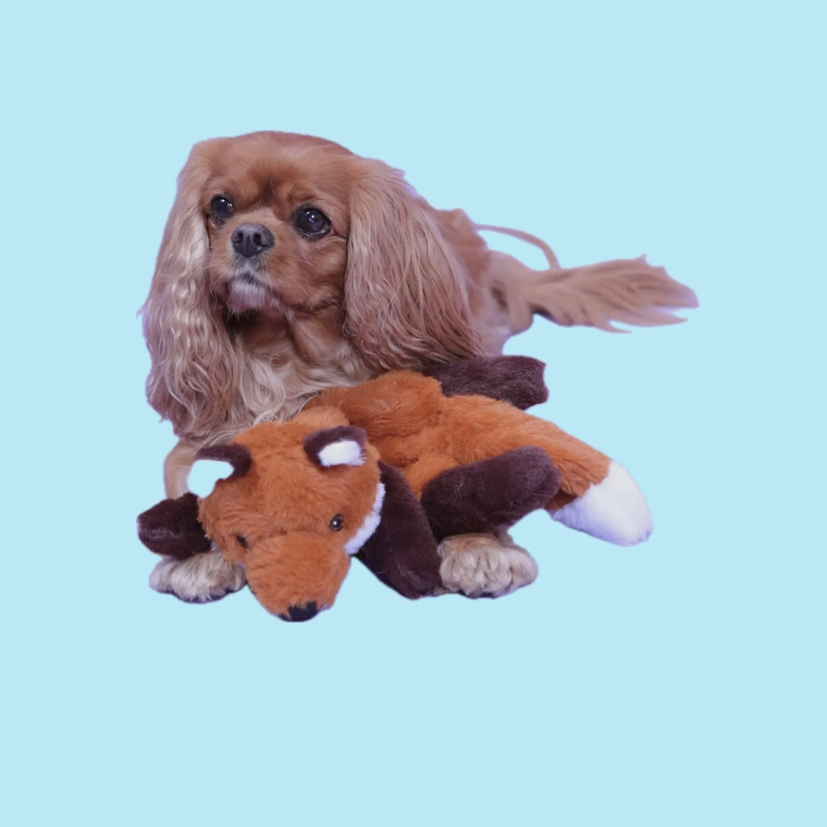 Crinkle fox plush toy