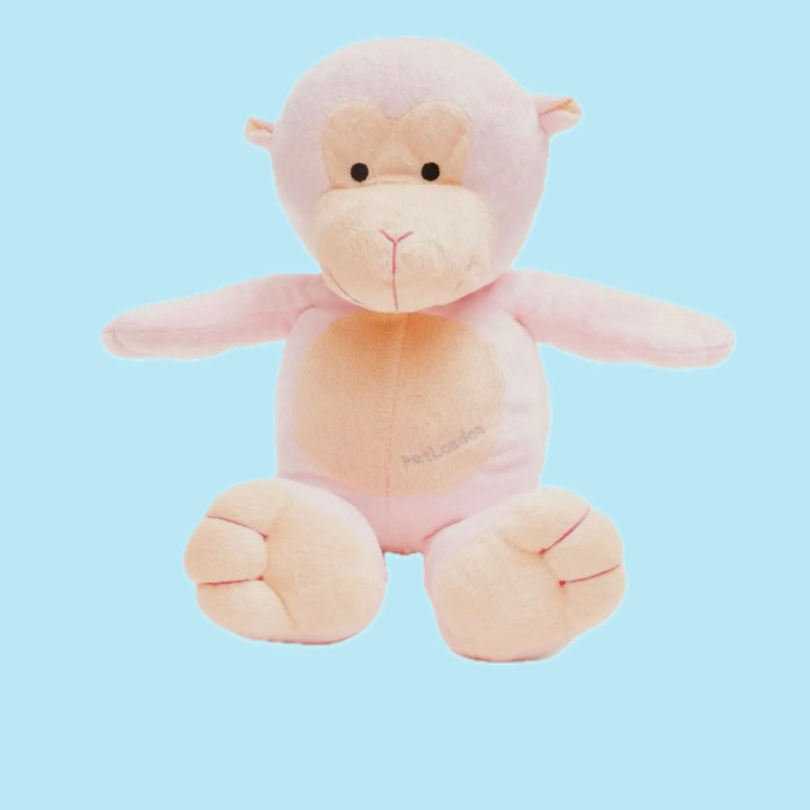 Cuddles chimp