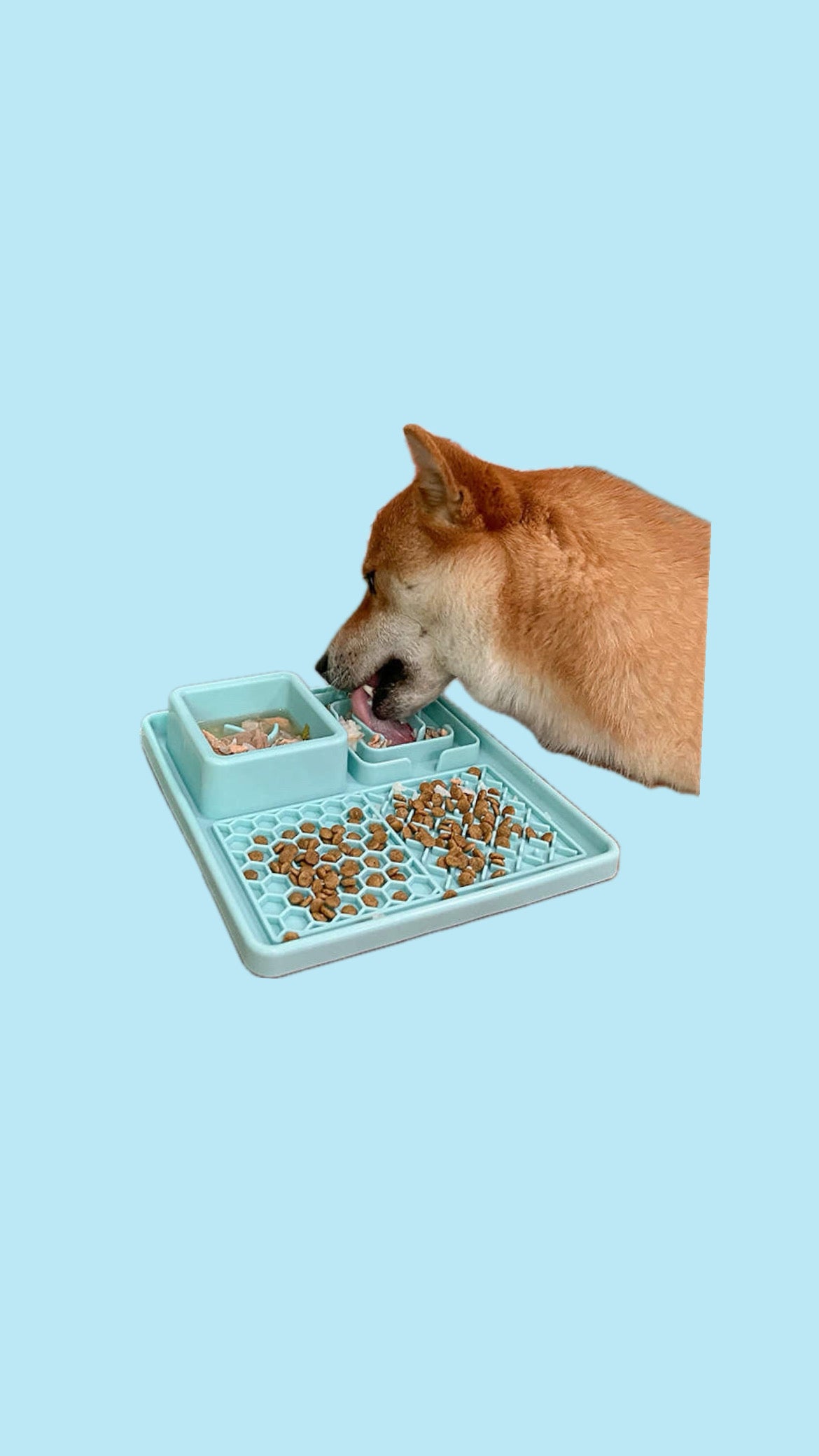 Lick mat/ slow feeder