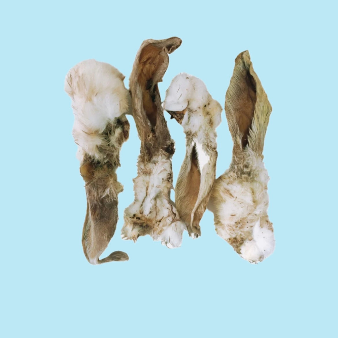 Furry Rabbit Ear