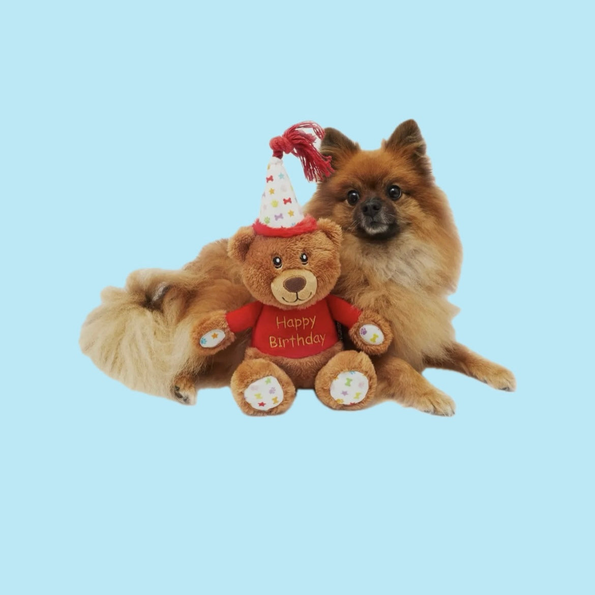 Happy birthday bear