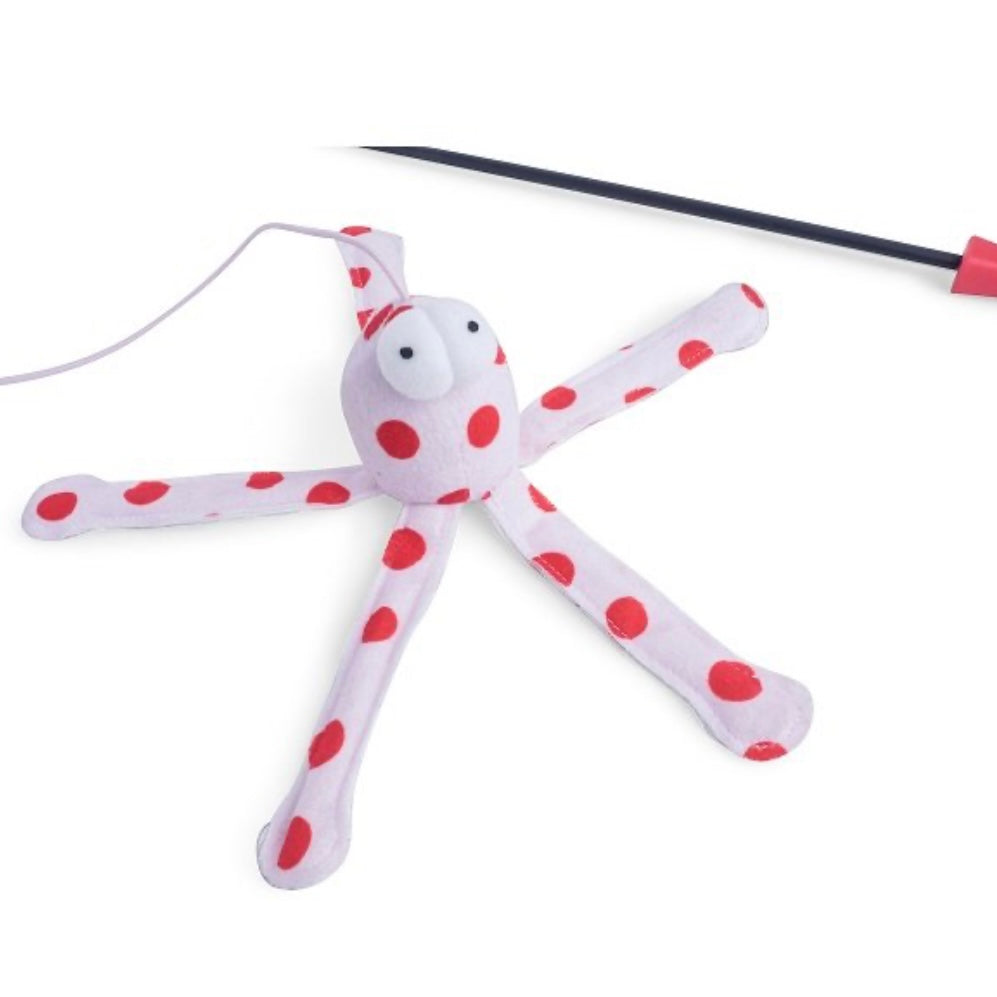 Octopus super cat teaser