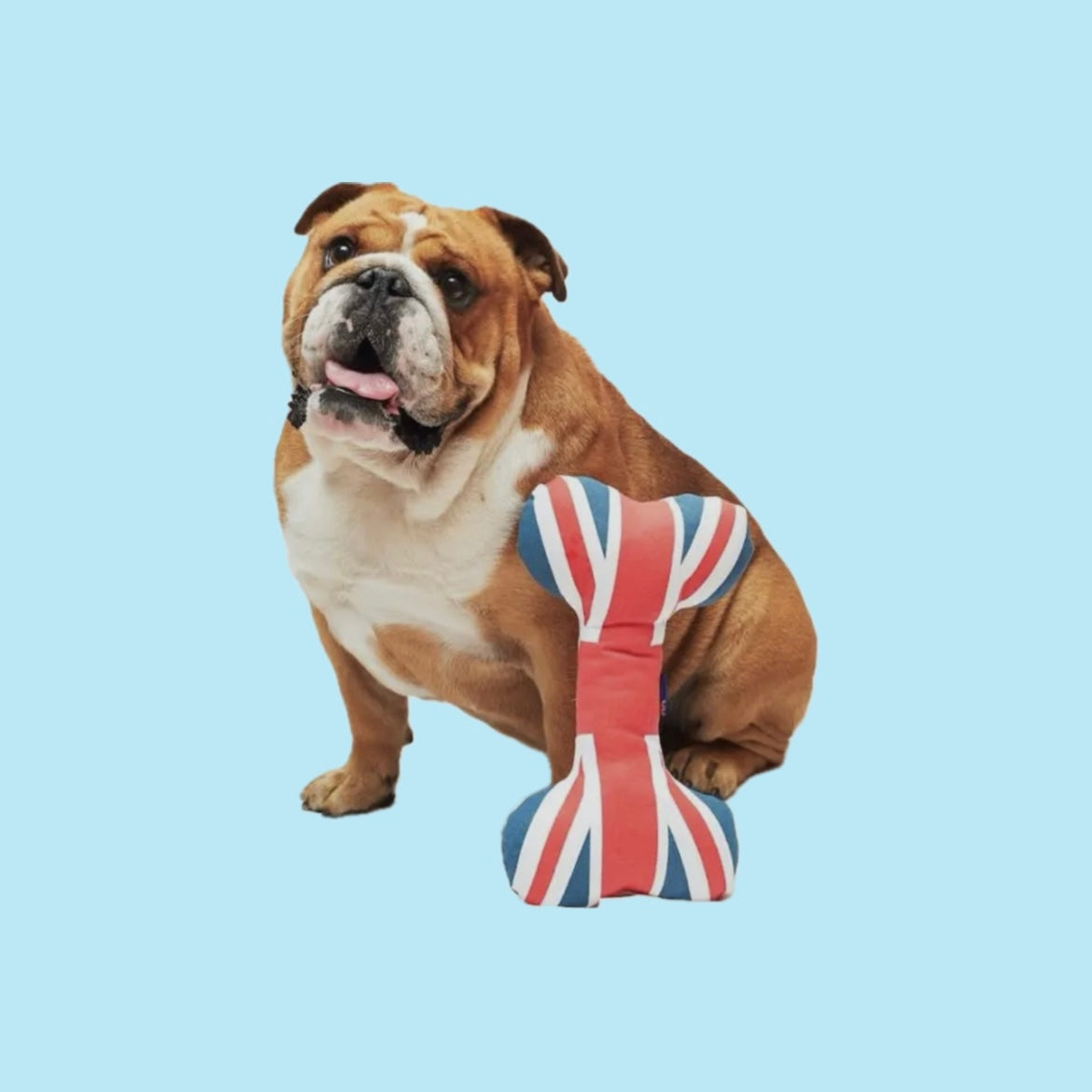Union Jack plush bone