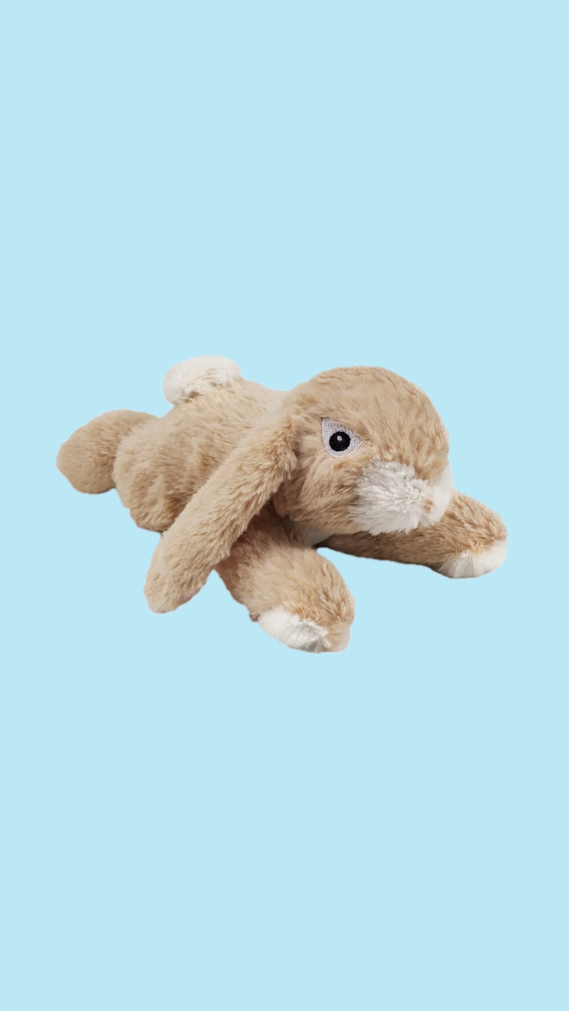 Plush rabbit