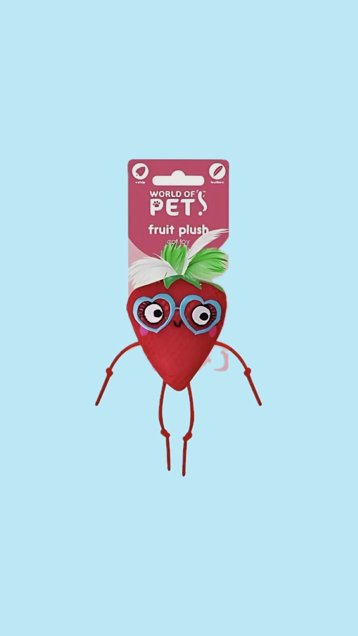 Mesh fruit cat toy