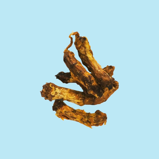 Large Chicken Neck
