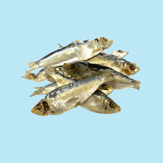 Extra large Sprats