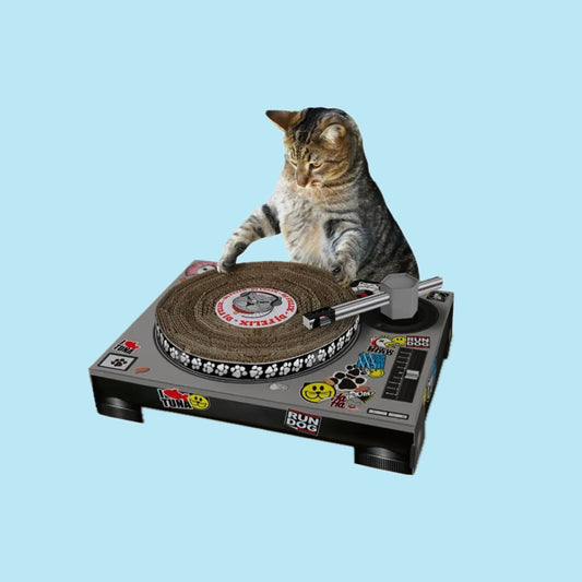 Cat scratch DJ decks