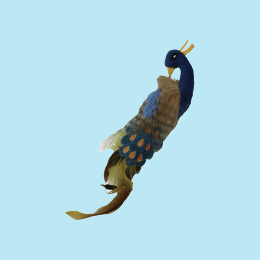 Peacock cat toy