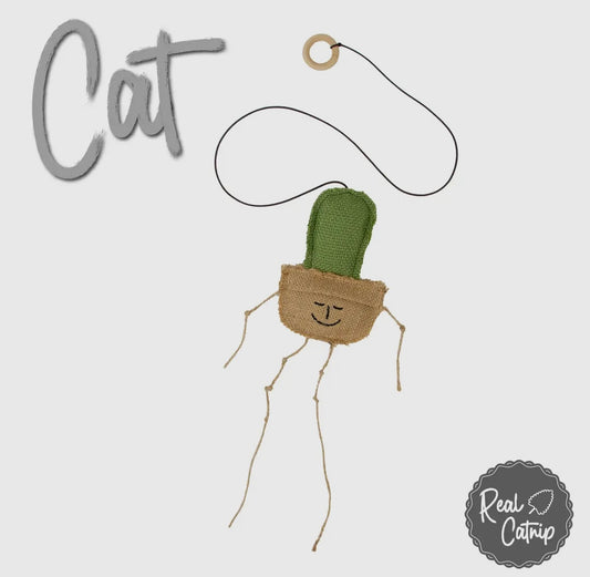 Interactive catnip cactus toy