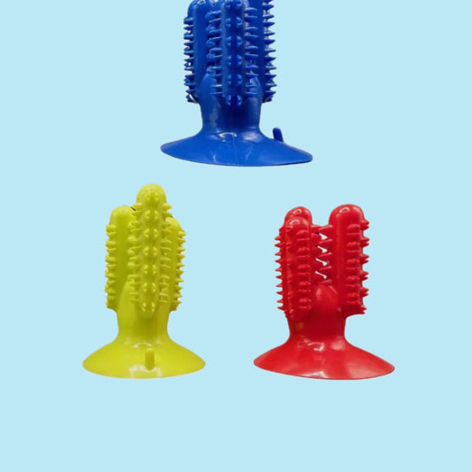 Cactus dog toy