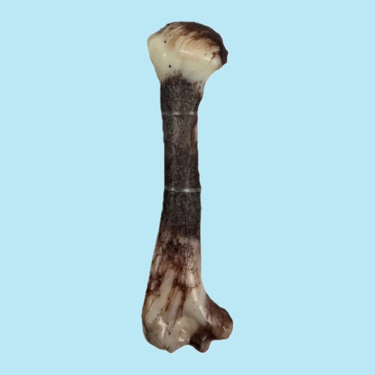 Walnut shell and nylon bone