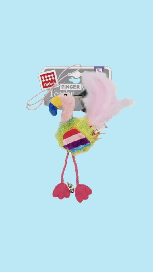 Flamingo teaser