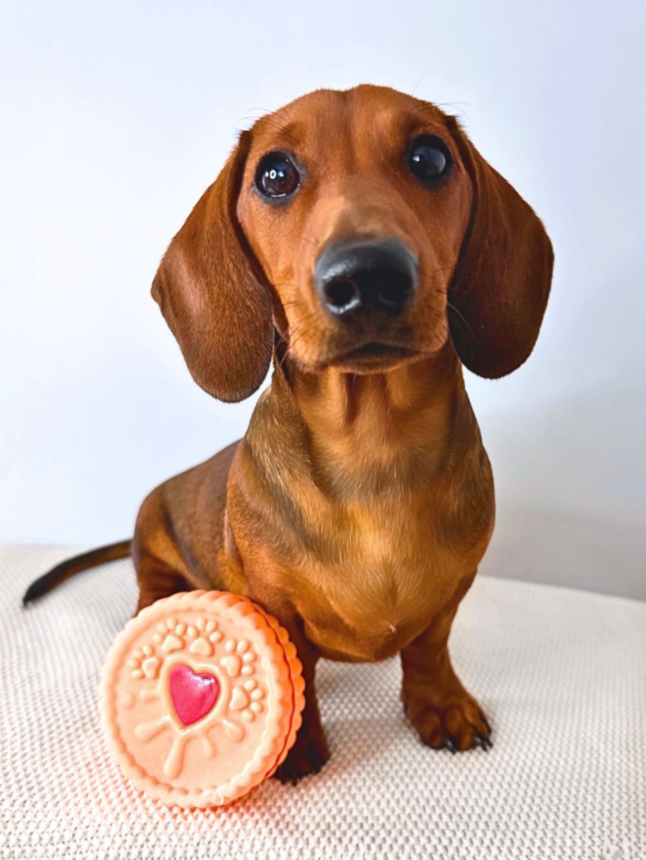 Jammie Dodger Toy