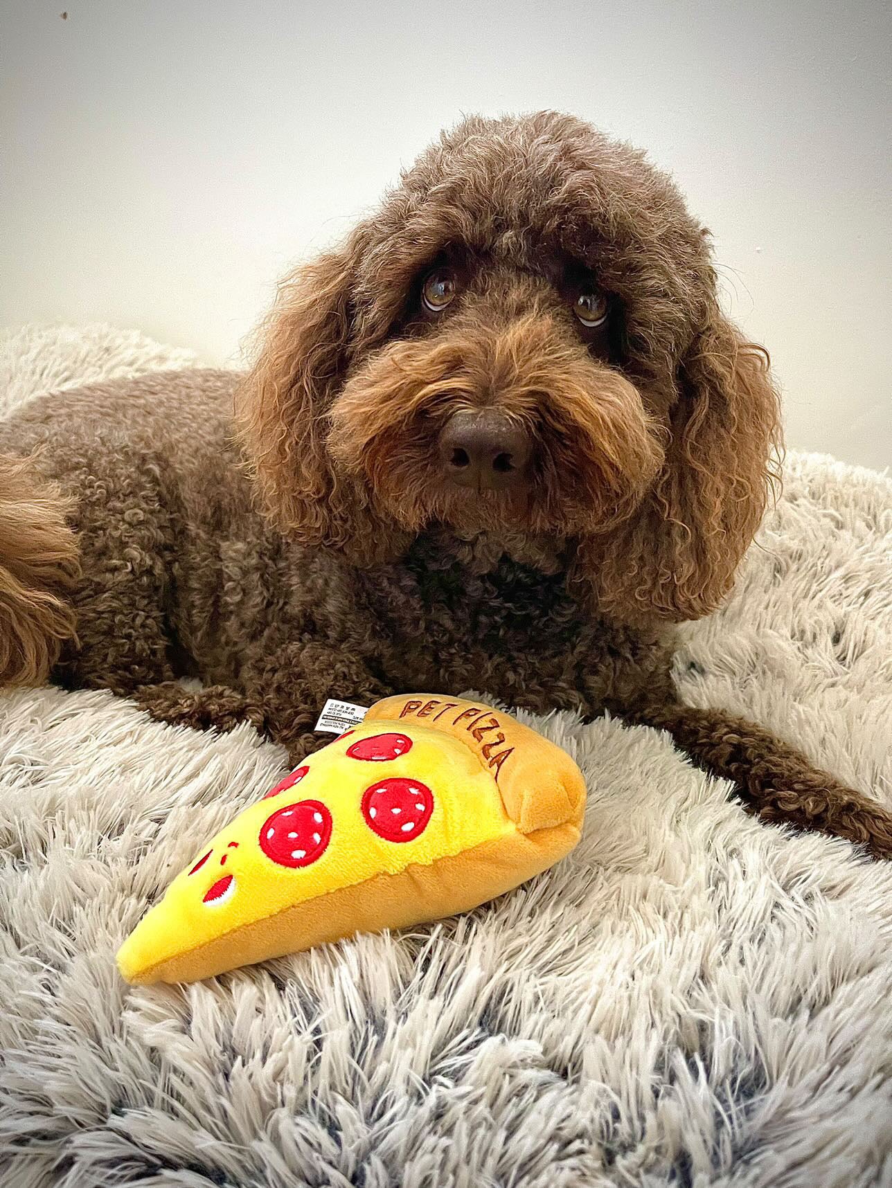 Pizza Toy